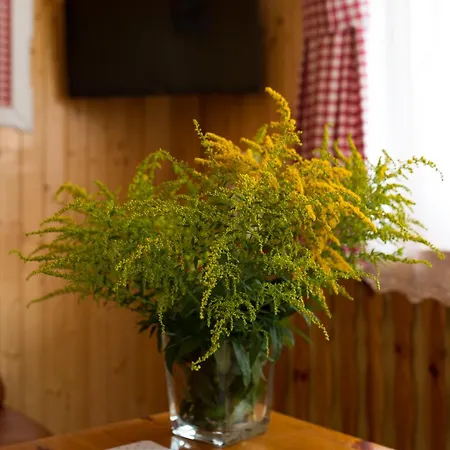 ホームステイ Goscinne Gabi Gnieżdżewo