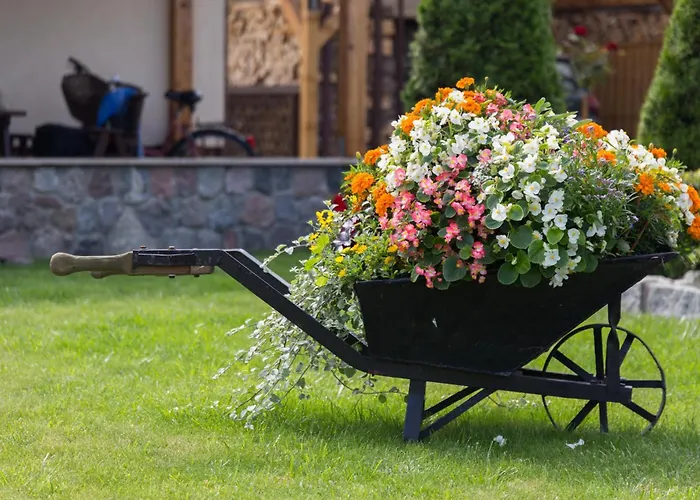 Goscinne Gabi Gniezdzewo